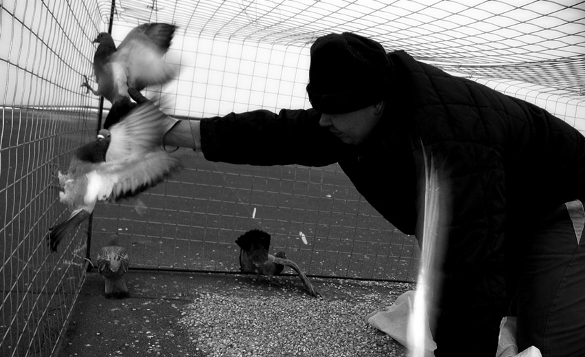 Anděl blažené smrti